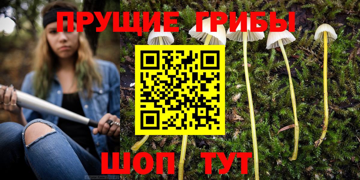 Холмск  Галлюциногенные грибы Magic Shrooms  Вход с VPN 