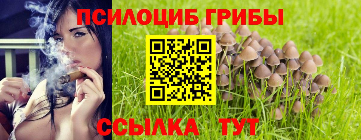 Галлюциногенные грибы прущие грибы Холмск