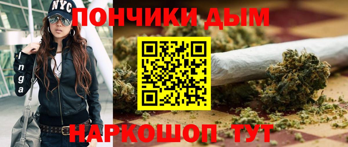Конопля сатива Холмск